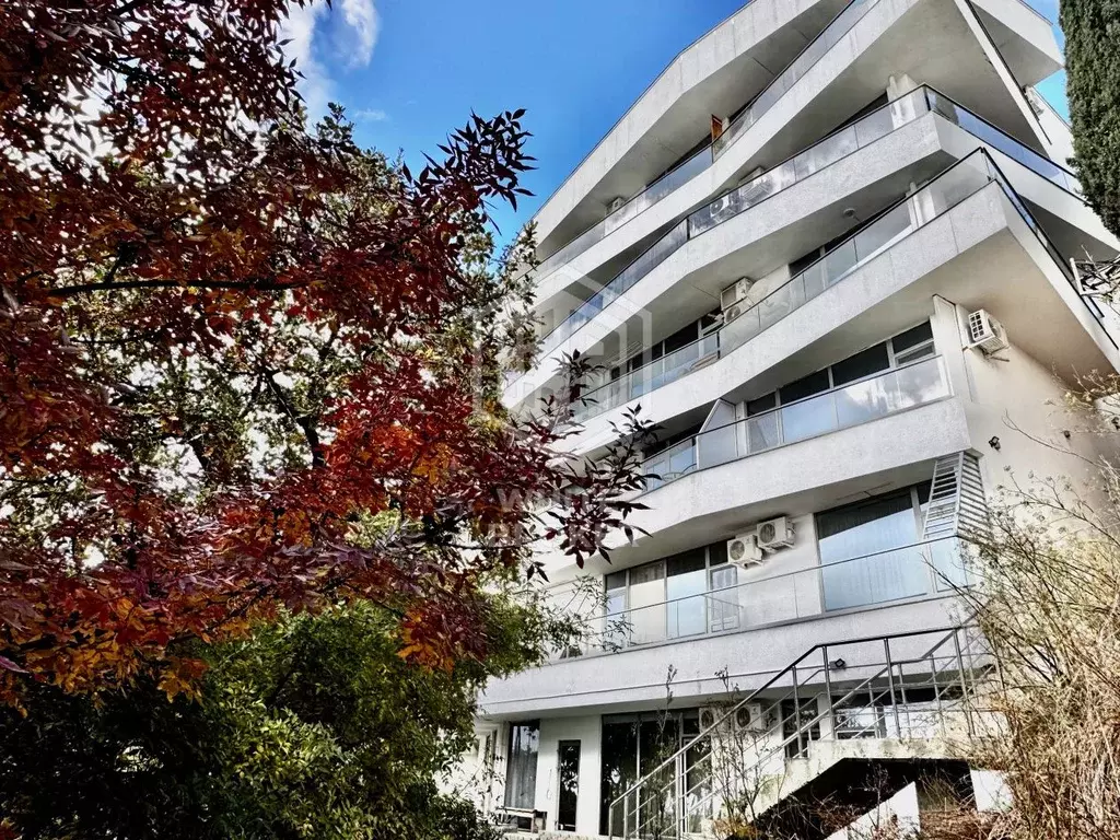 Студия Крым, Ялта муниципальный округ, Кореиз пгт спуск Мисхорский, 1Е ... - Фото 1