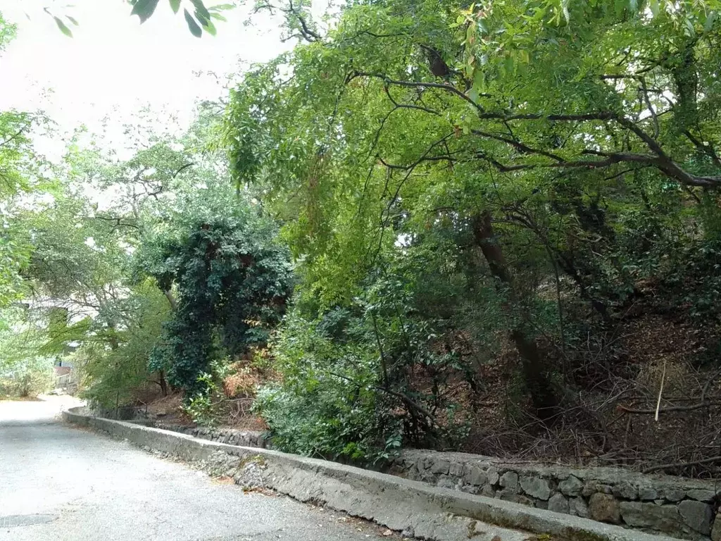 Участок в Крым, Алупка ул. Средняя (6.0 сот.) - Фото 2