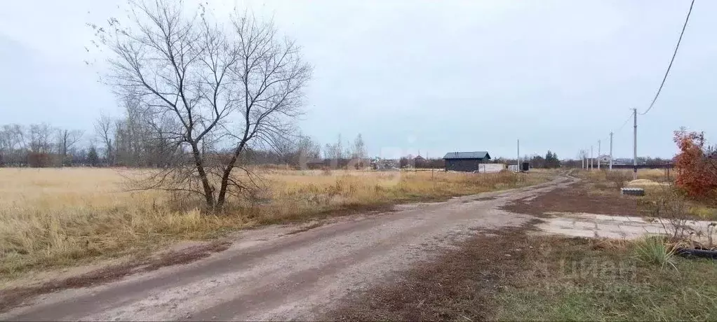 Участок в Воронежская область, Воронеж ул. Снежная (10.0 сот.) - Фото 0