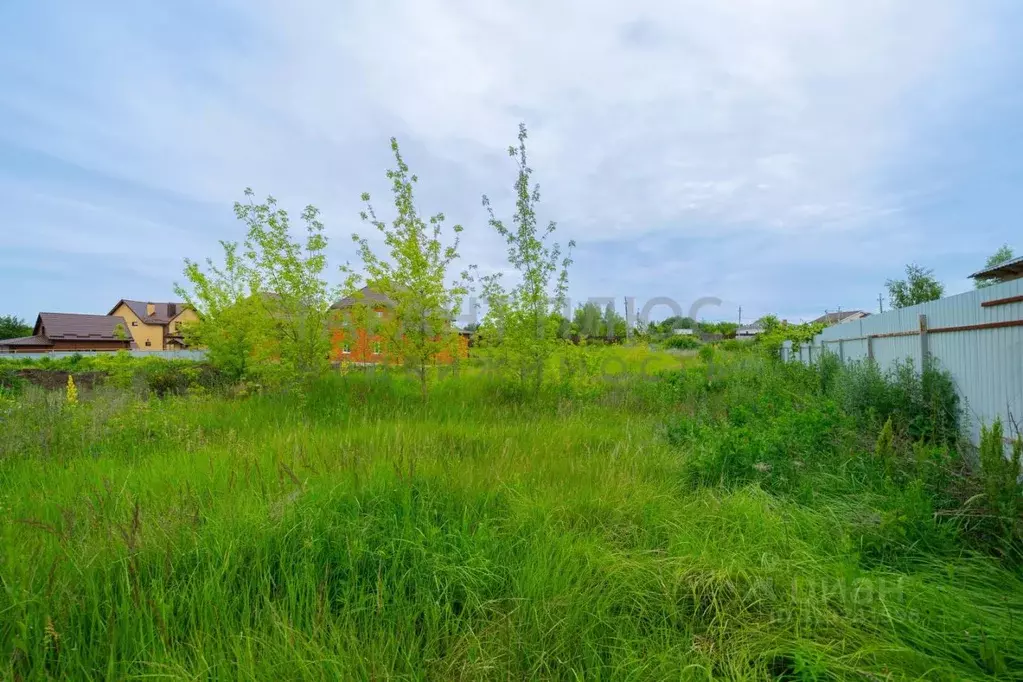 Участок в Липецкая область, Липецкий муниципальный округ, д. Кулешовка ... - Фото 1