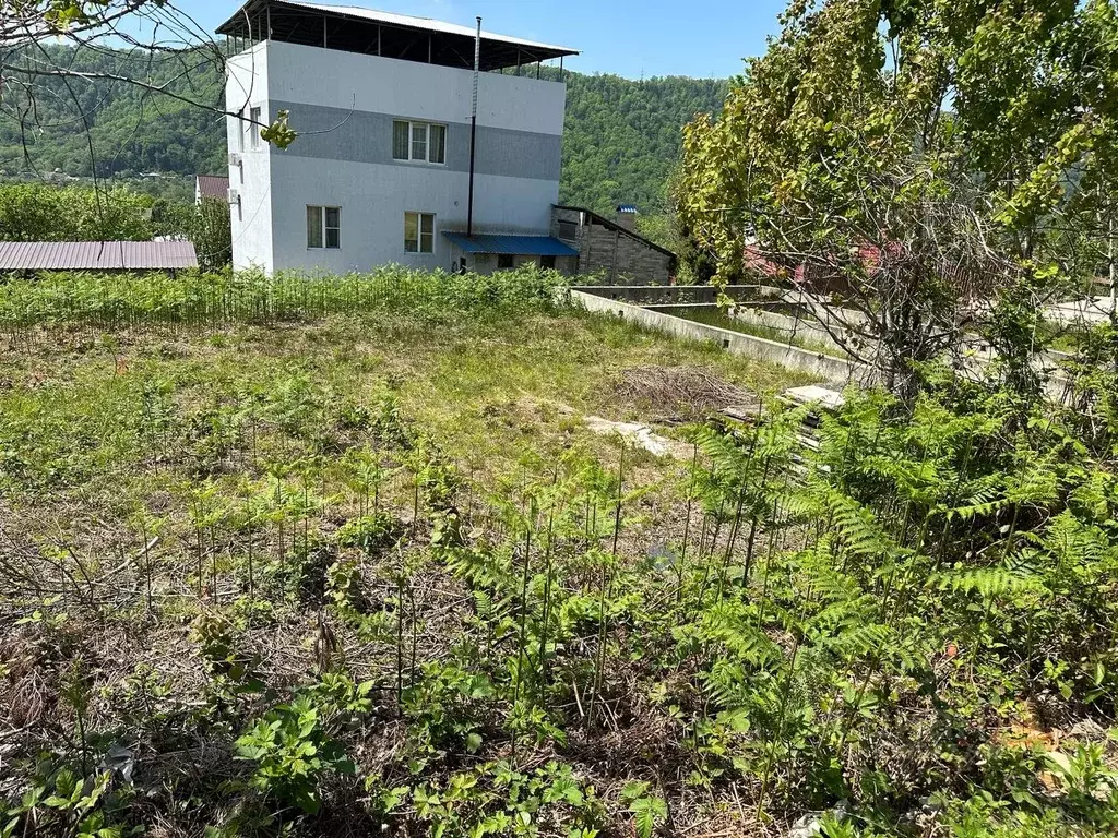 Участок в Краснодарский край, Сочи городской округ, с. Волковка ул. ... - Фото 1