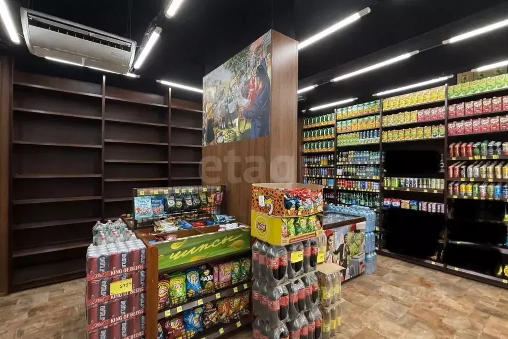 Помещение свободного назначения в Московская область, Балашиха ш. ... - Фото 0