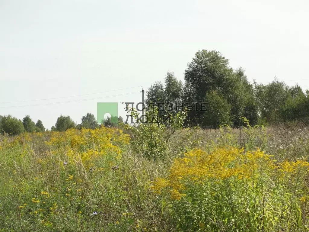 Участок в Тульская область, Тула городской округ, д. Ефимово  (15.0 ... - Фото 0