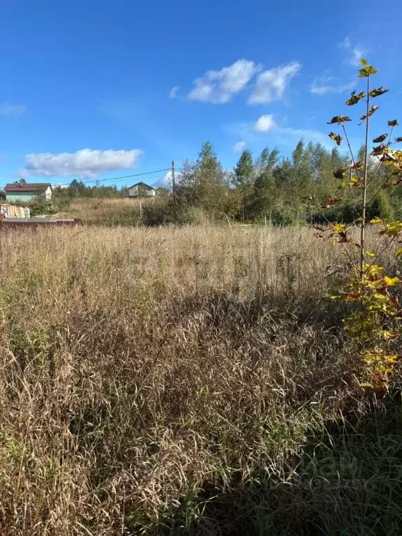 Участок в Ленинградская область, Выборгский район, Первомайское с/пос, ... - Фото 1