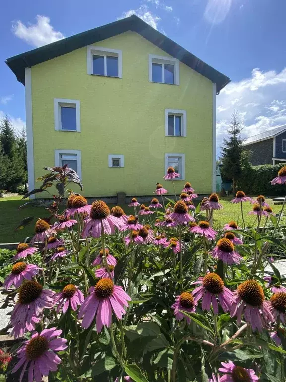 Дом в Московская область, Чехов муниципальный округ, д. Сандарово ул. ... - Фото 2