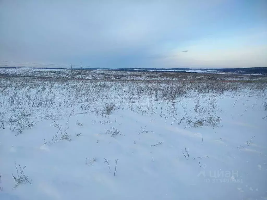 Участок в Иркутская область, Иркутский муниципальный округ, с. ... - Фото 0