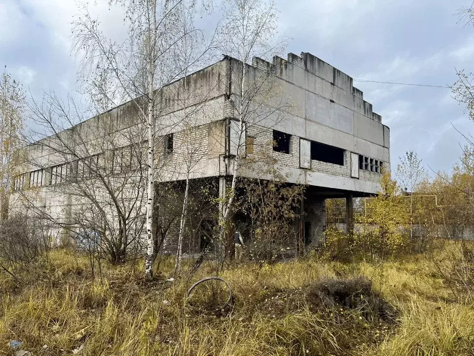 Производственное помещение в Владимирская область, Александров ул. ... - Фото 1