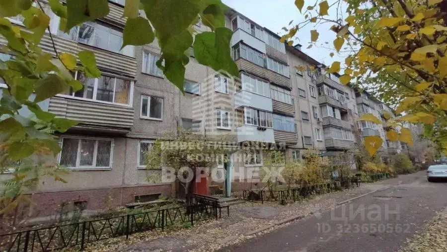 3-к кв. Воронежская область, Воронеж ул. Старых Большевиков, 98 (63.5 ... - Фото 0