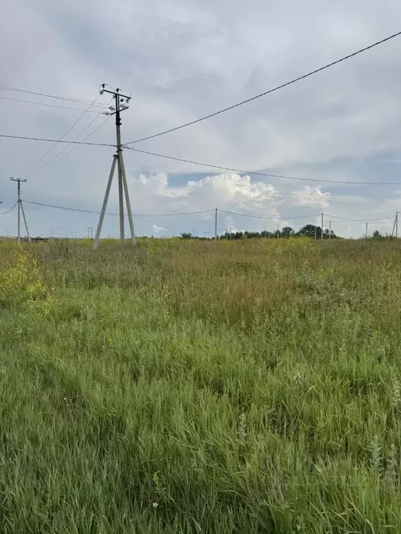 Участок в Башкортостан, Кармаскалинский район, д. Кабаково ул. ... - Фото 0