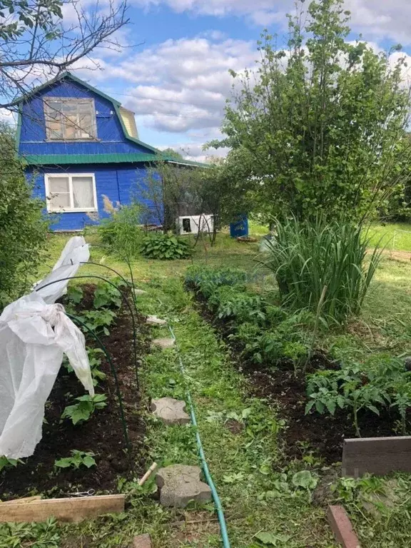 Дом в Нижегородская область, Нижний Новгород Станция Горький ... - Фото 1