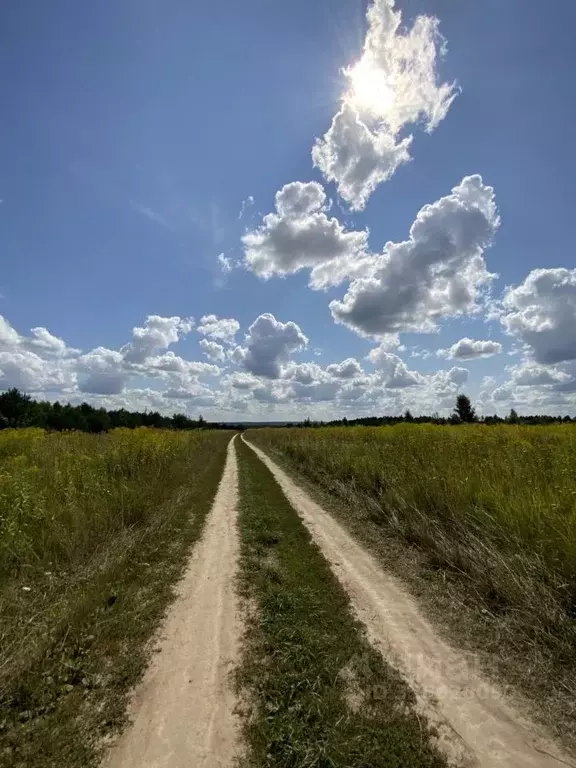 Участок в Калужская область, Тарусский муниципальный округ, Вознесенье ... - Фото 1