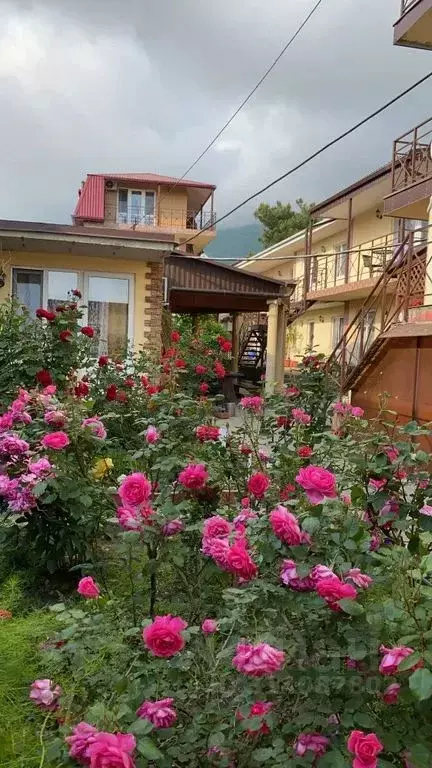 Комната Краснодарский край, Геленджик ул. Красных Партизан, 48 - Фото 1