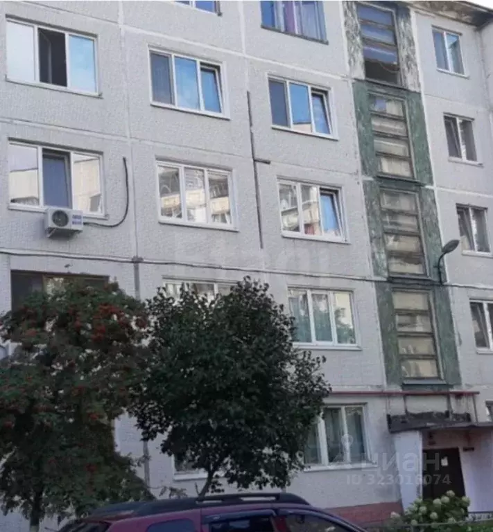 1-к кв. Брянская область, Брянск Фосфоритная ул., 15 (30.0 м) - Фото 0