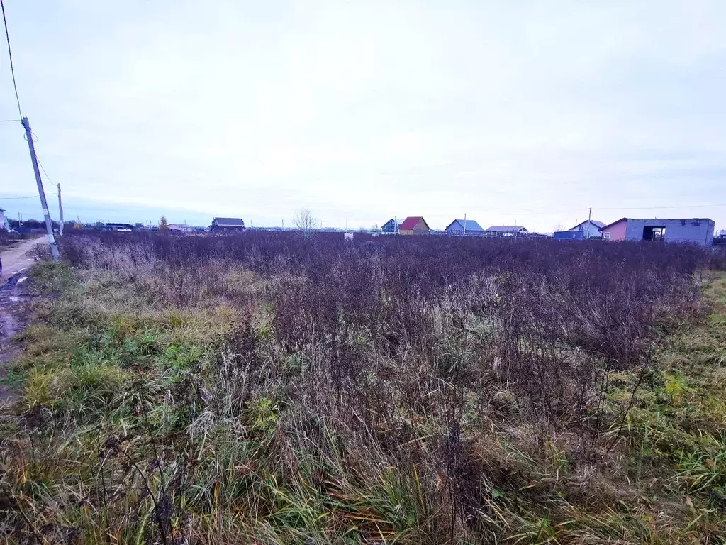 Участок в Ленинградская область, Гатчинский муниципальный округ, ... - Фото 2