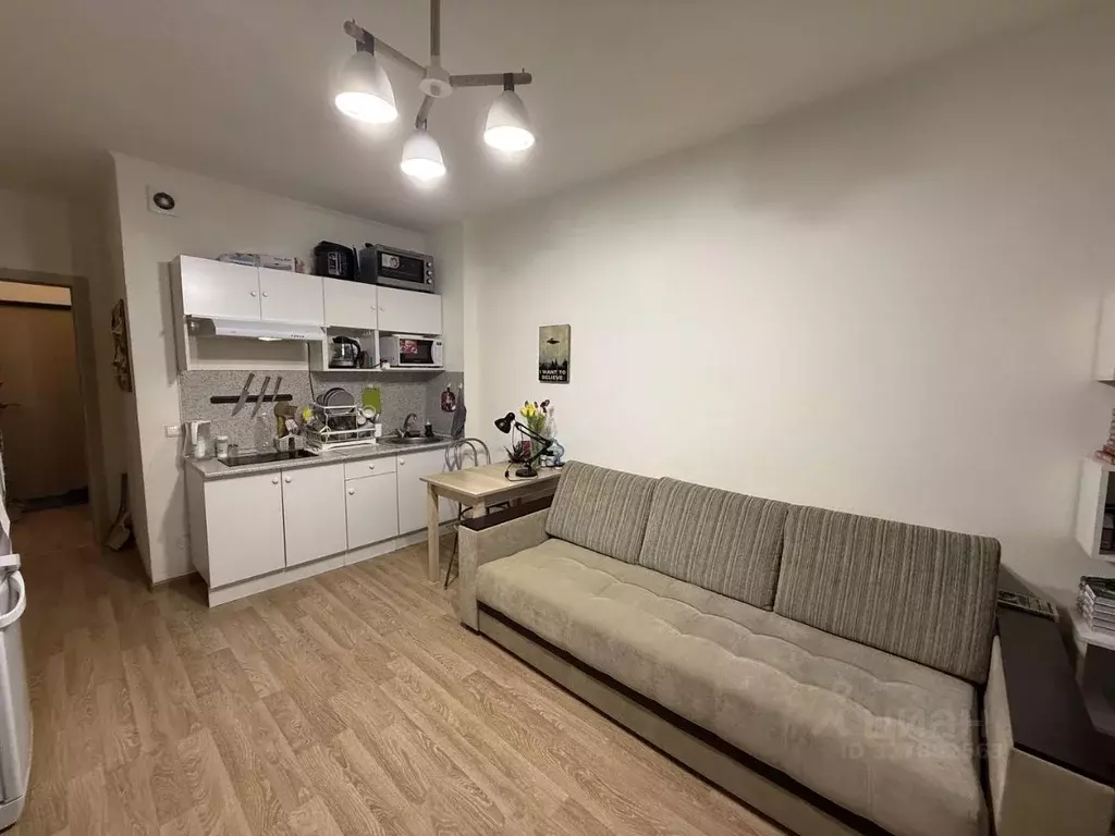 Студия Санкт-Петербург просп. Ветеранов, 171к5 (24.7 м) - Фото 1