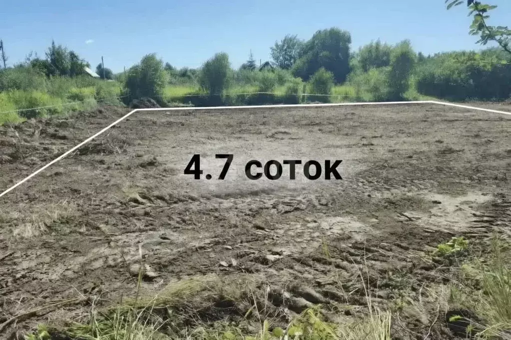 Участок в Костромская область, Кострома Огонек-2 СНТ, 29 (4.7 сот.) - Фото 1