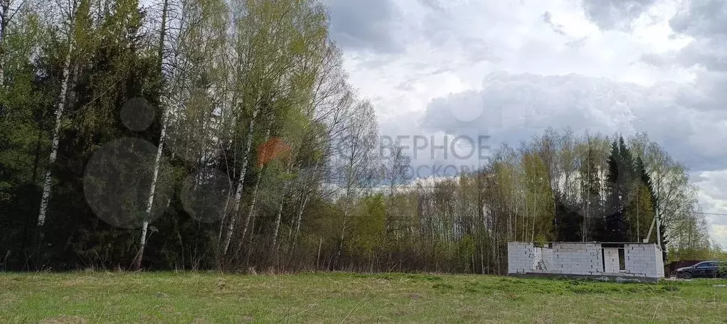 Участок 7,5 сот. (ИЖС) - Фото 1