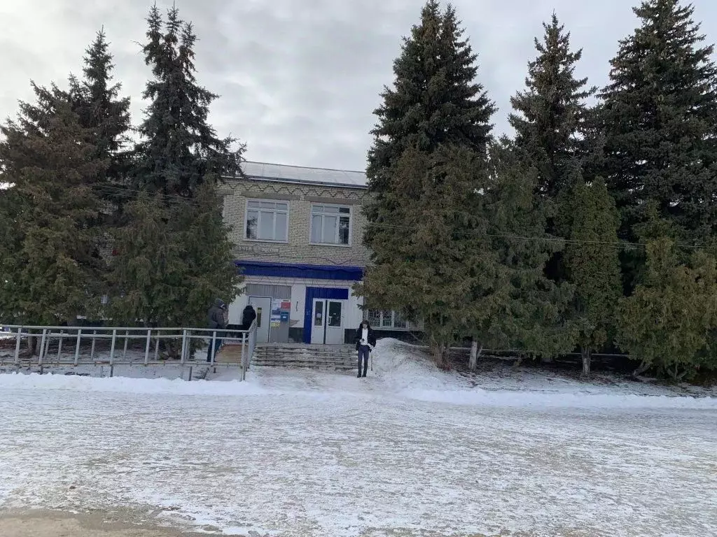 Помещение свободного назначения в Ульяновская область, Радищево рп ул. ... - Фото 1