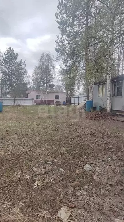 Участок в Коми, Парма пгт ул. Аэродромная (5.0 сот.) - Фото 1