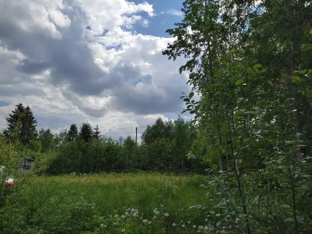 Дом в Ленинградская область, Волховский район, Кисельнинское с/пос, .,  Купить дом Пупышево, Волховский район, ID объекта - 50010205870