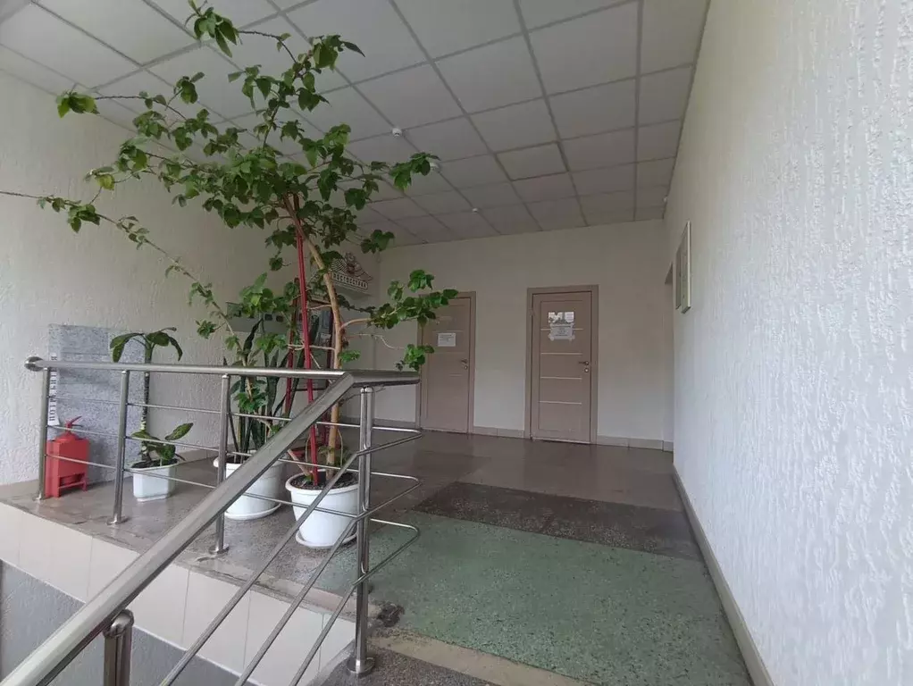 Офис в Новосибирская область, Тогучин ул. Лапина, 21 (17 м) - Фото 1