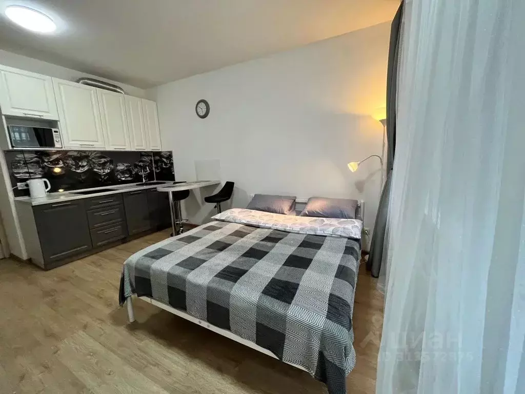 Студия Санкт-Петербург просп. Ветеранов, 173к7 (25.0 м) - Фото 1