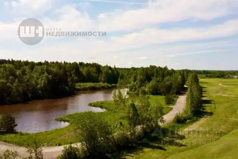 Участок в Ленинградская область, Ломоносовский район, Пениковское ... - Фото 1