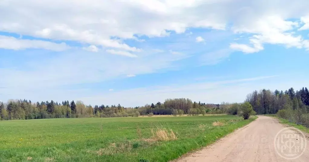 Участок в Ленинградская область, Выборгский район, Красносельское ... - Фото 1