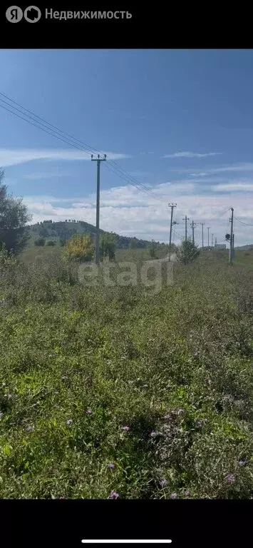 Участок в Алтайский район, посёлок Катунь, улица Пучина (10 м) - Фото 2