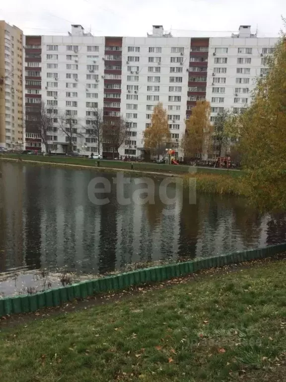 Ясный проезд отрадное. Ясный проезд отрадное