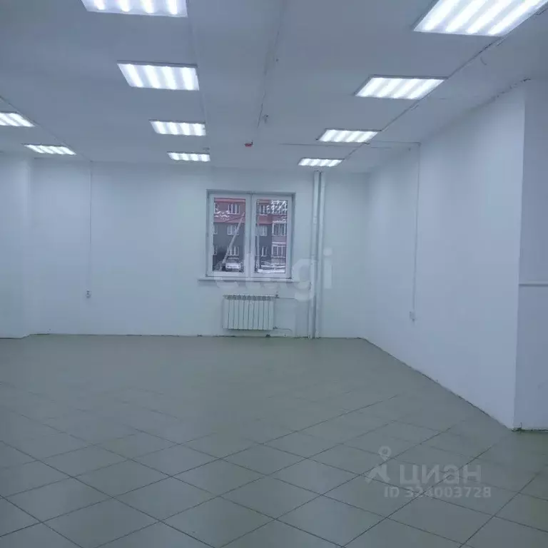 Торговая площадь в Красноярский край, Красноярск Судостроительная ул., ... - Фото 2