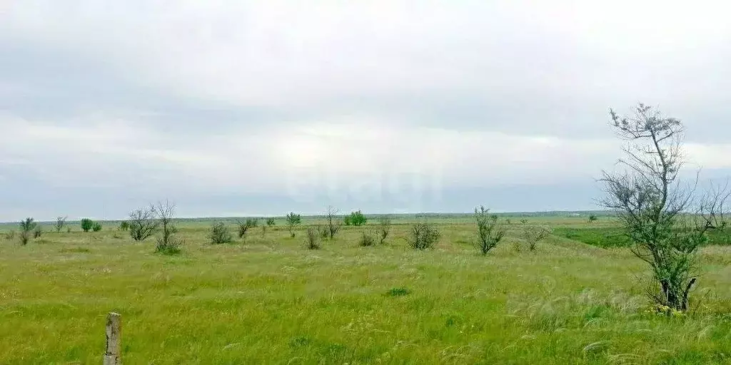 Участок в Крым, Феодосия муниципальный округ, Приморский пгт ул. ... - Фото 1