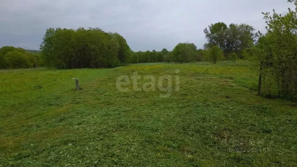 Участок в Тульская область, Заокский район, Демидовское с/пос, д. ... - Фото 1