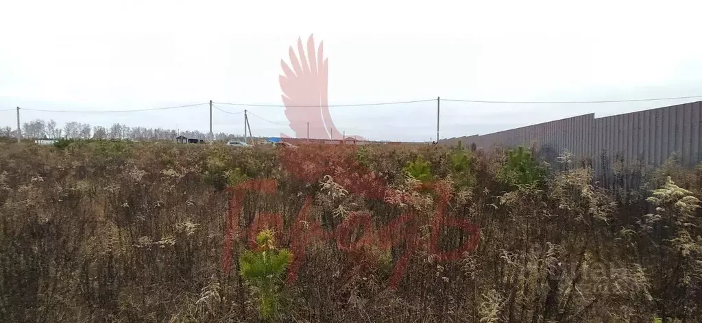 Участок в Орловская область, Орловский муниципальный округ, д. ... - Фото 1