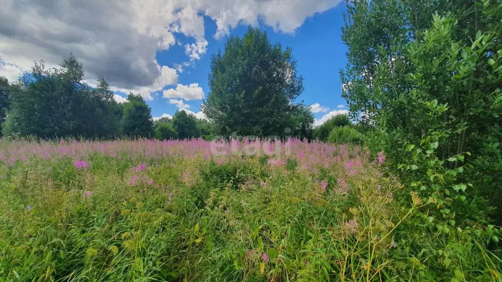Участок в Ленинградская область, Киришский район, Пчевжинское с/пос, ... - Фото 2