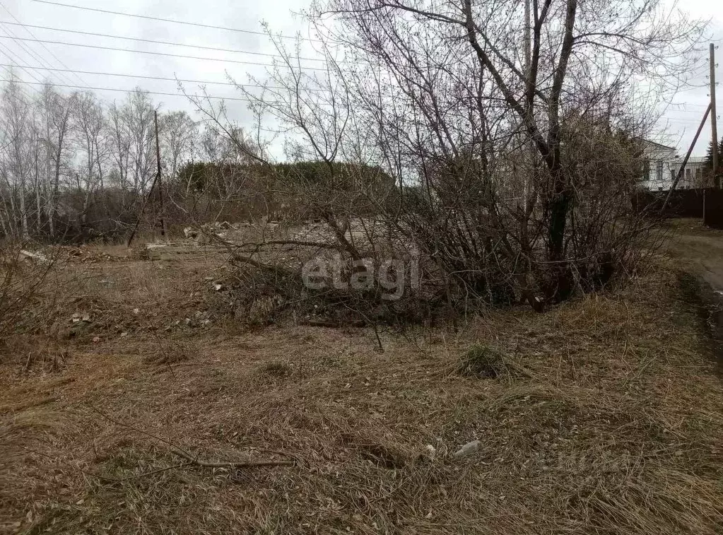 Участок в Курганская область, Шадринск ул. Пушкина (10.0 сот.) - Фото 1