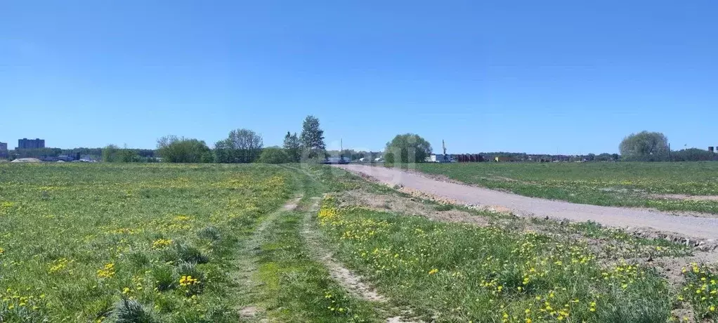 Участок в Ярославская область, Ярославль пос. Парково, ул. 1-я ... - Фото 0