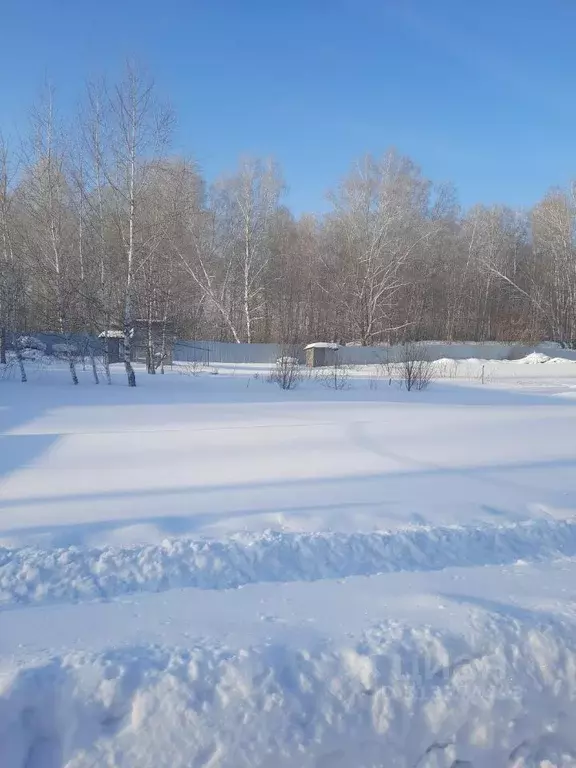 Участок в Новосибирская область, Новосибирский район, Каменский ... - Фото 1