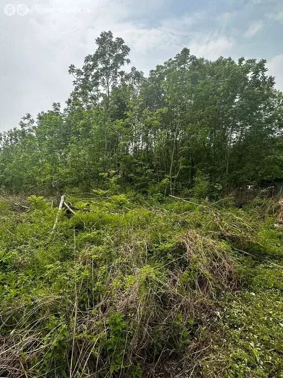 Дом в Хабаровский район, СНТ Зубровое (20 м) - Фото 0