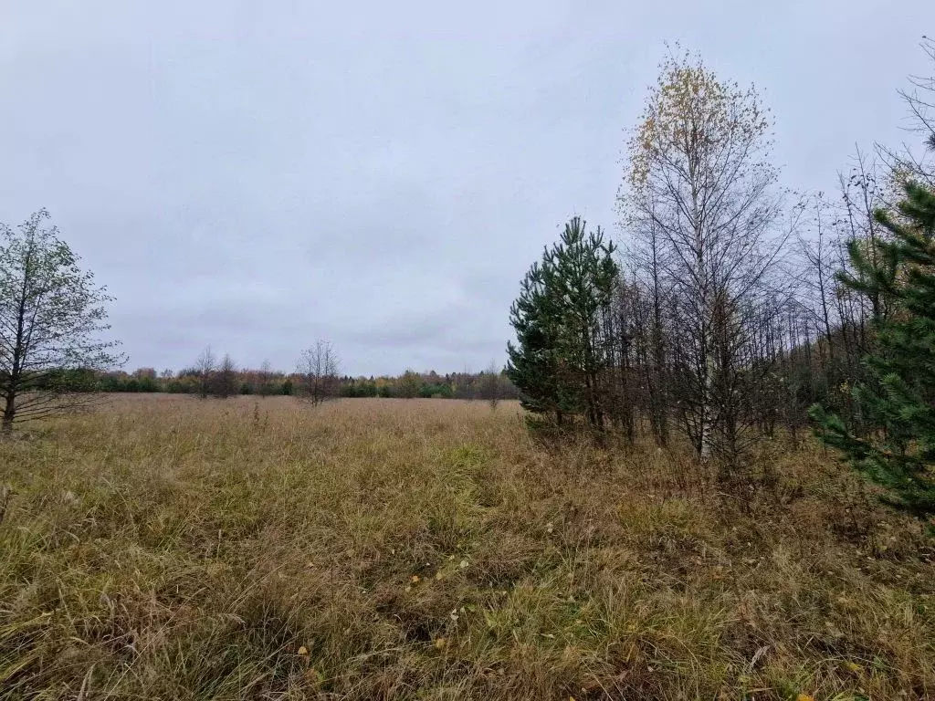 Участок в Владимирская область, Владимир д. Уварово, ул. Малая ... - Фото 2
