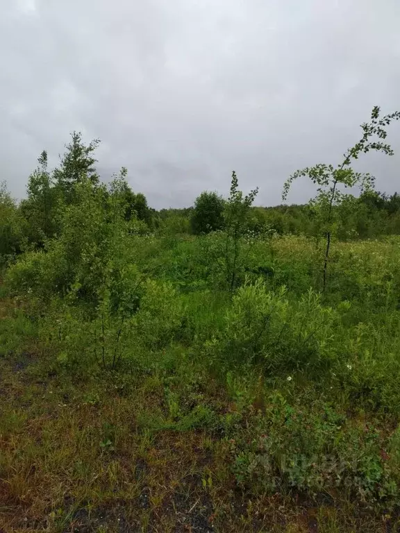 Участок в Московская область, Можайский муниципальный округ, Уваровка ... - Фото 1