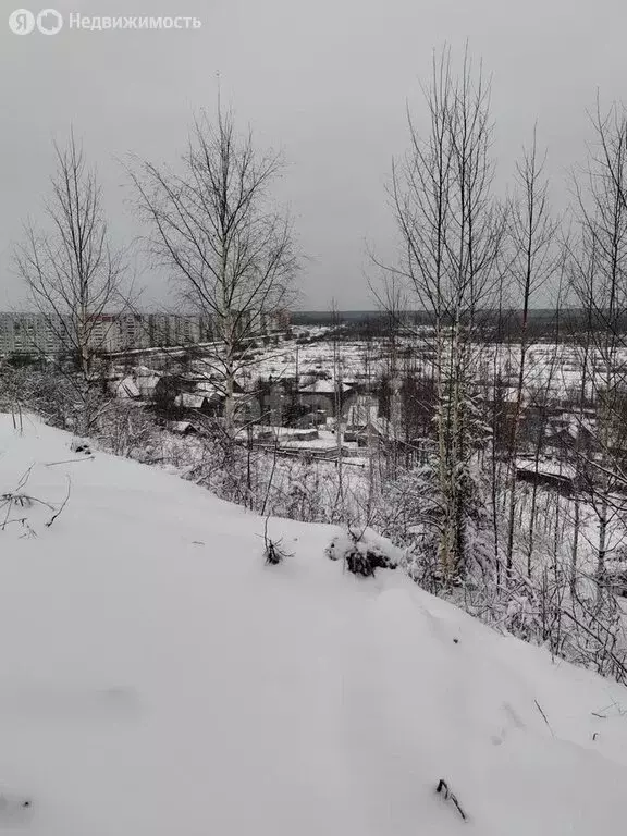 Участок в Ухта, садово-огородническое товарищество Геолог-69 (9.5 м) - Фото 2