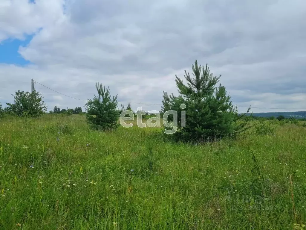 Участок в Калужская область, Тарусский район, Похвиснево с/пос, д. ... - Фото 1
