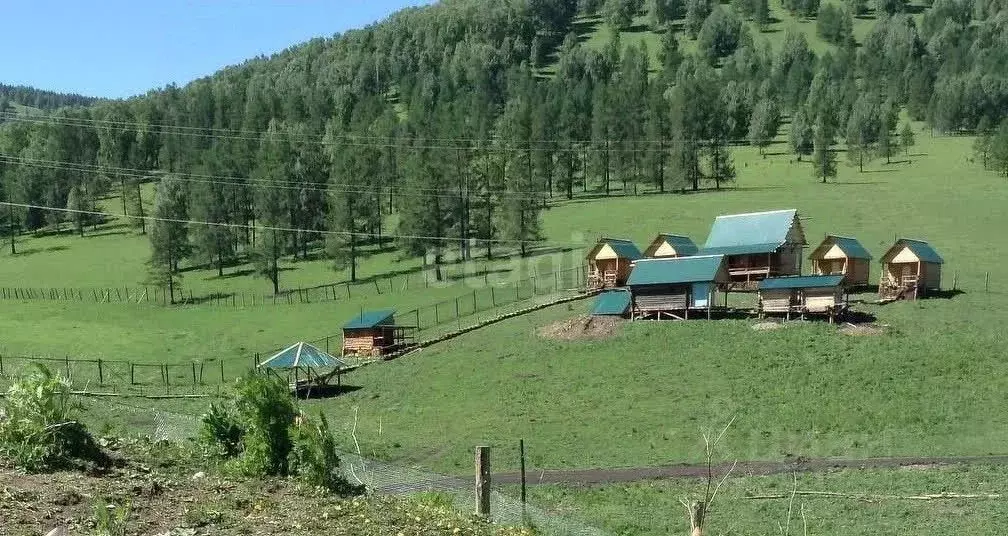 Производственное помещение в Алтайский край, Солонешенский район, с. ... - Фото 0