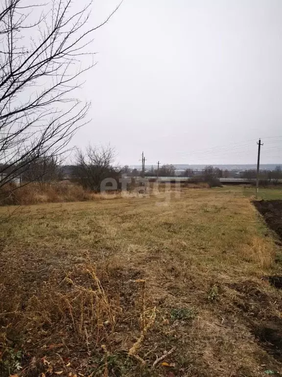 Участок в Белгородская область, Белгородский район, Беловское с/пос, ... - Фото 1