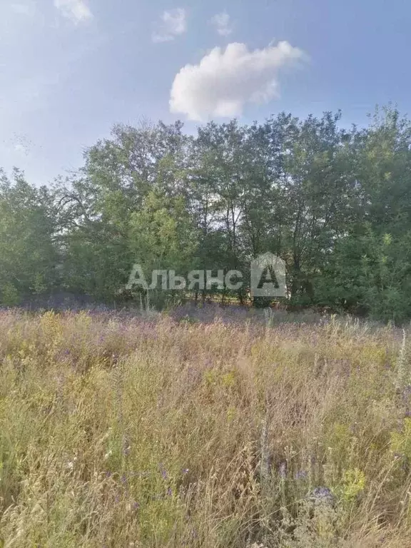 Участок в Ростовская область, Белокалитвинский район, пос. Коксовый ... - Фото 2