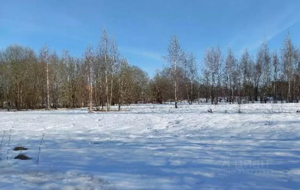 Участок в Московская область, Дмитровский муниципальный округ, д. ... - Фото 1