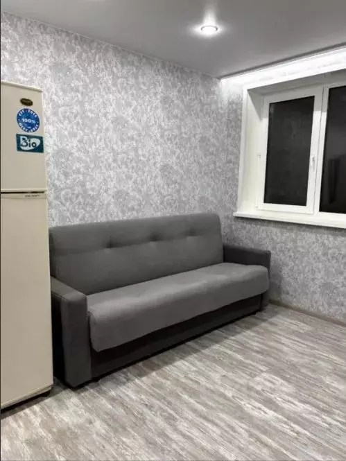 Студия Красноярский край, Красноярск ул. Курчатова, 6 (17.0 м) - Фото 2