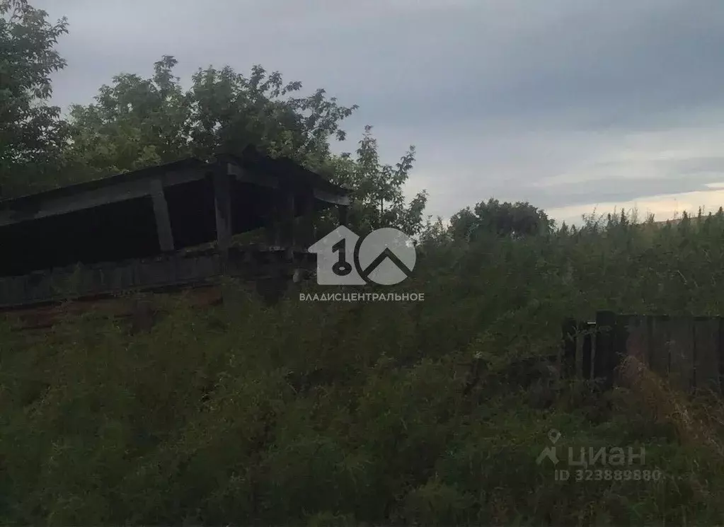 Участок в Новосибирская область, Ордынский район, д. Плотниково ... - Фото 2