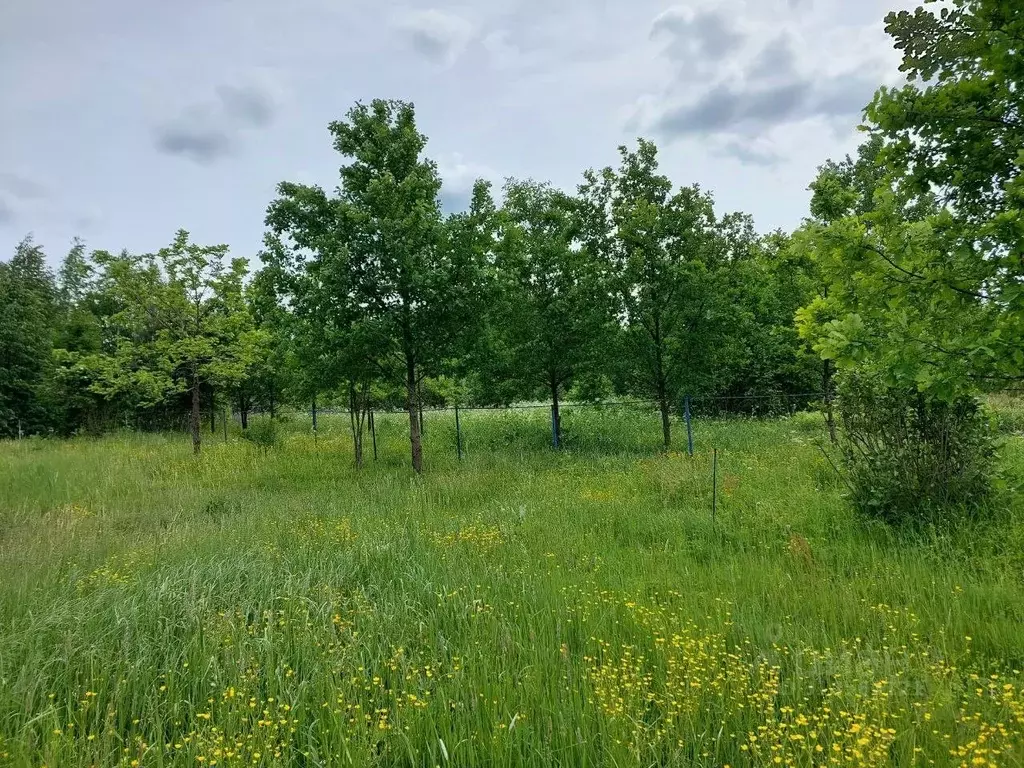 Дом в Нижегородская область, Краснобаковский муниципальный округ, д. ... - Фото 1